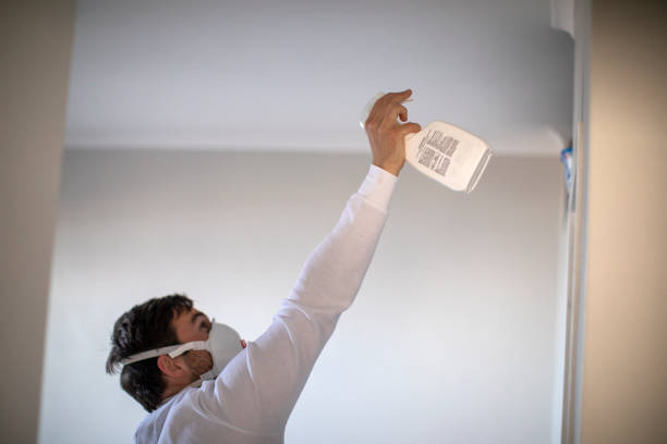 Best Best Mold Removal Companies  in Oskaloosa, KS