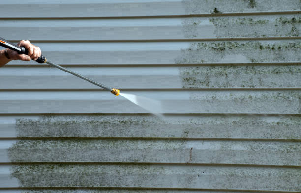 Best Mold Damage Repair  in Oskaloosa, KS
